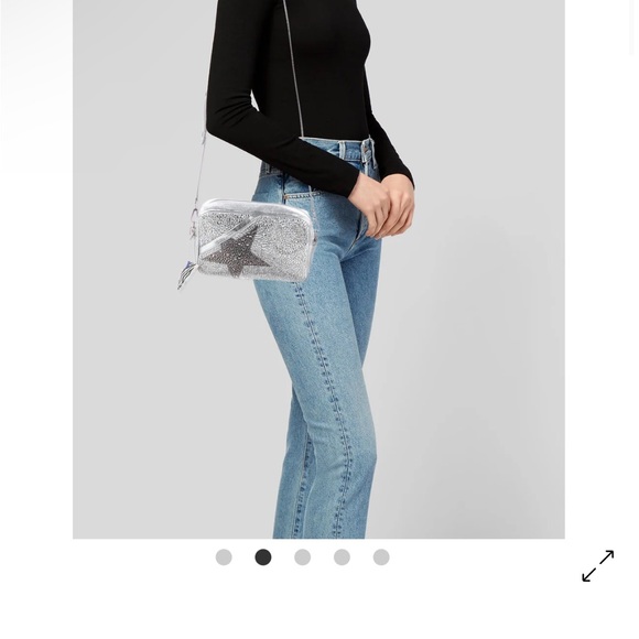 Golden Goose purse - silver with Swarovski crystals - Picture 3 of 10